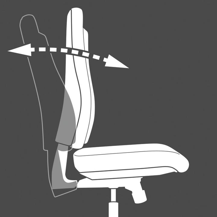 Actual product image Topstar Sitness 15