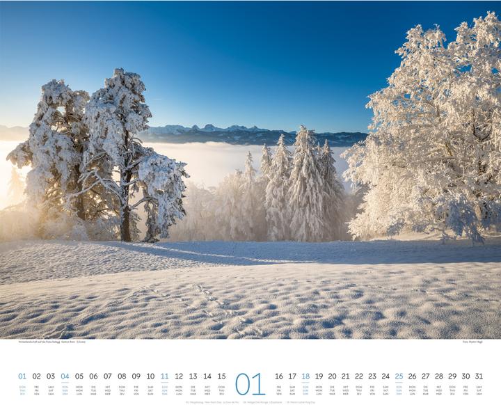 Actual product image Wald Kalender 2026 (54 x 48 cm, Hardcover, German, French, English)