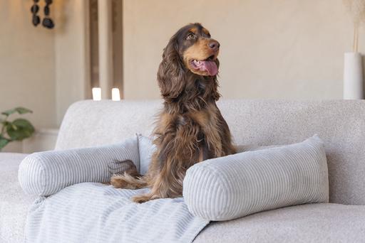 Image du produit Designed by Lotte Coussin de canapé Ribbed (Chien)