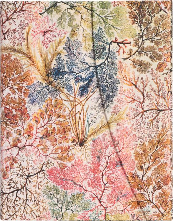 Immagine prodotto Paperblanks Notebook PB Ultra lin.Anemone (Righe, Copertina rigida)