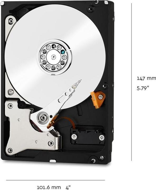 Actual product image WD Red Plus (12 TB, 3.5", CMR)