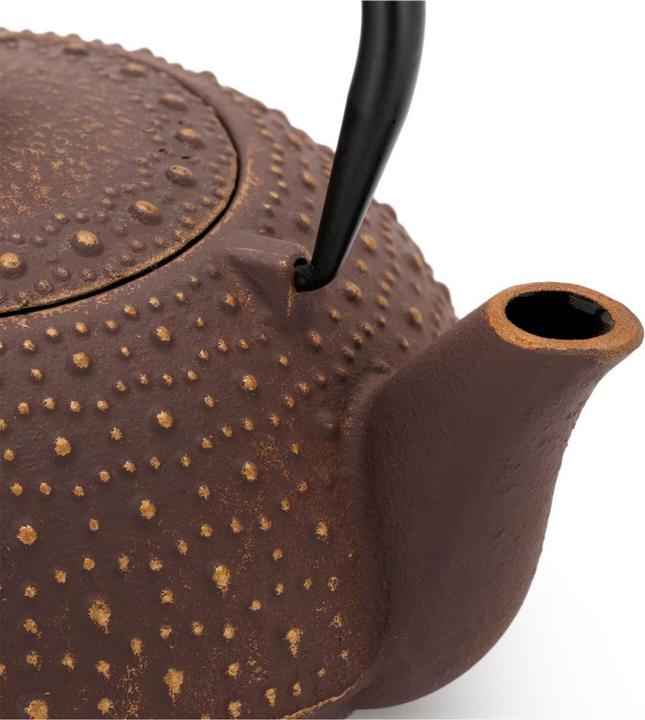 Actual product image Bredemeijer Teapot Anhui (0.90 l)