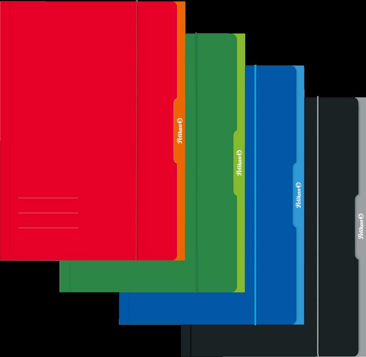 Actual product image Pelikan Folder, drawing folder folder A4 assorted colours FSC (A4, 1 x)