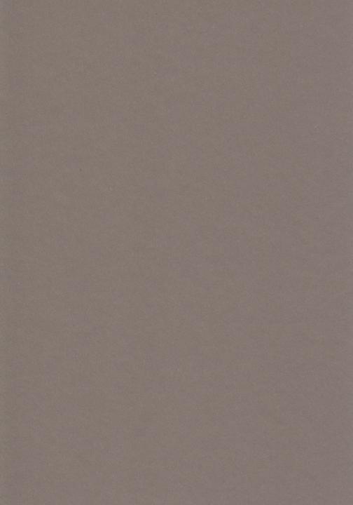 Produktbild MarpaJansen Fotokarton-Sortierung "Erdtöne", A4, 30 Blatt (300 g/m², 1 x)