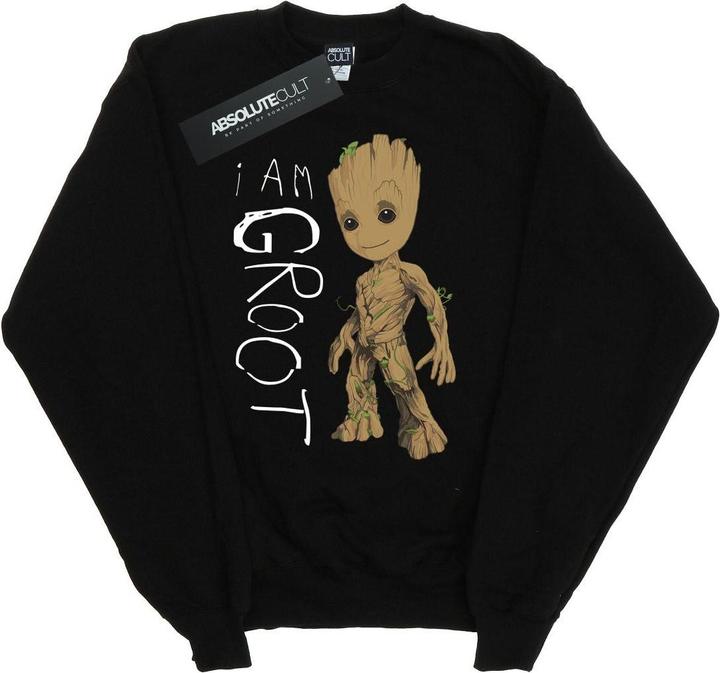 Guardians Of The Galaxy I Am Groot Scribbles Sweatshirt Mädchen