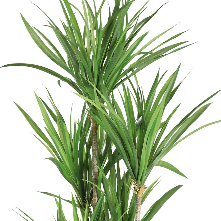 Actual product image EGLO Artificial plant in pot (120 cm)