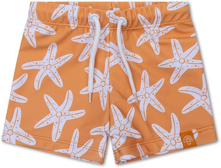 Sea Star