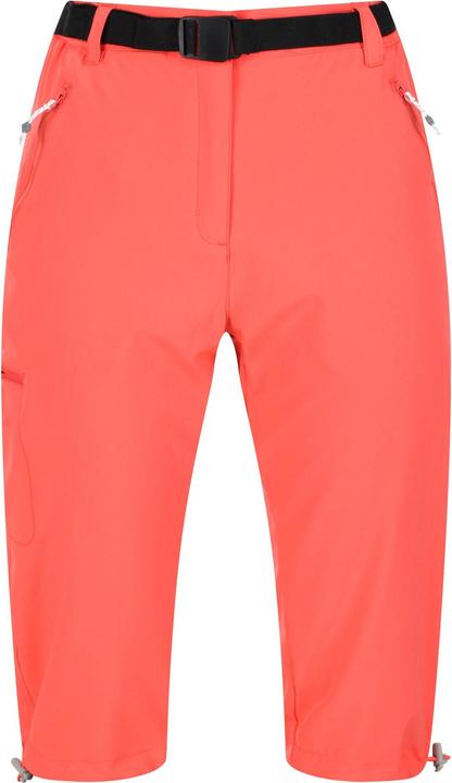 Produktbild Regatta Xert Freizeitshorts (46 D)