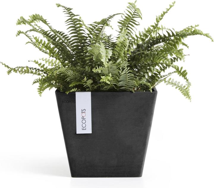 Actual product image Ecopots Rotterdam (20 cm)