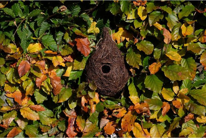 Productafbeelding Wildlife World Vogelnest