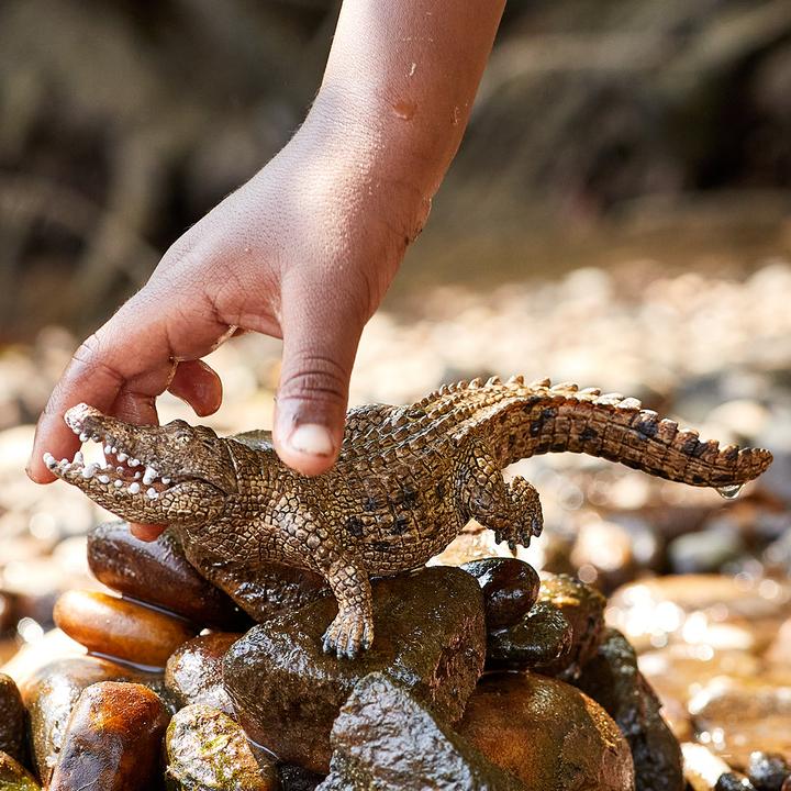 Produktbild Schleich Krokodil