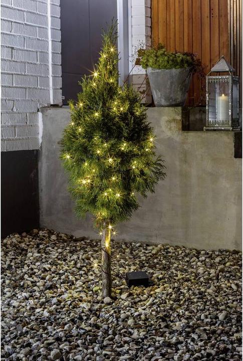 Immagine prodotto Konstsmide Fata delle luci (2.40 m)