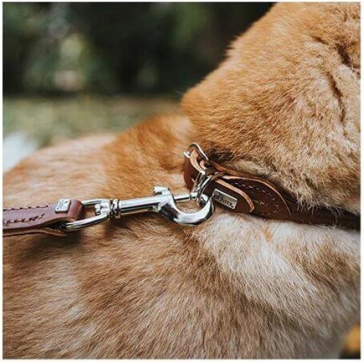 Produktbild Hunter Halsband Round & Soft (S, M, Hund)
