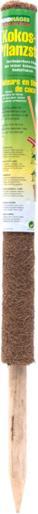 Actual product image Windhager Plant stick coconut (110 cm, 4.50 cm)