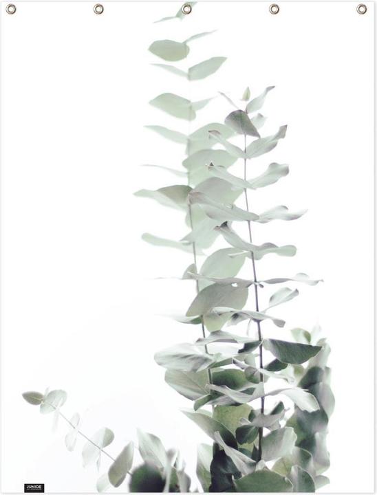 Produktbild Juniqe Eucalyptus White 2 - Blätter & Pflanzen (150 x 200 cm)