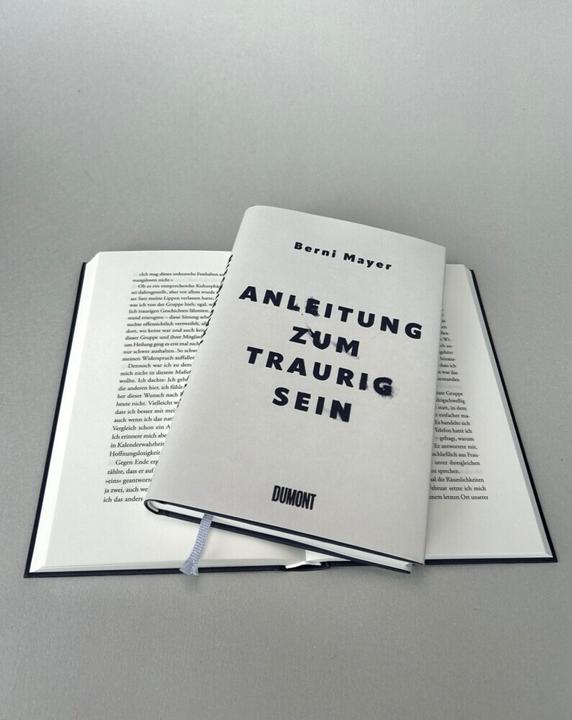 Produktbild Anleitung zum Traurigsein (Deutsch, Mayer, Berni, 2023)