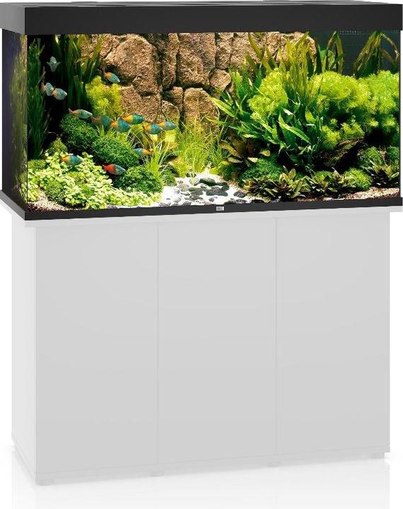 Produktbild Juwel Aquarium Rio (350 l)