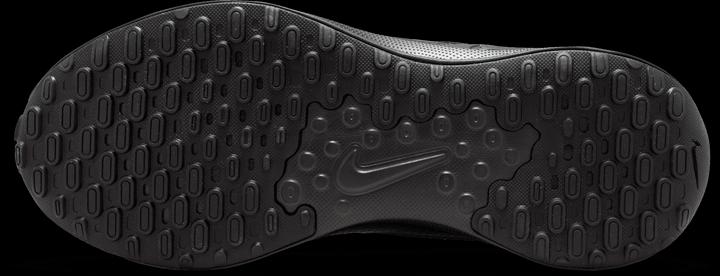 Actual product image Nike Revolution 7 (44.5)