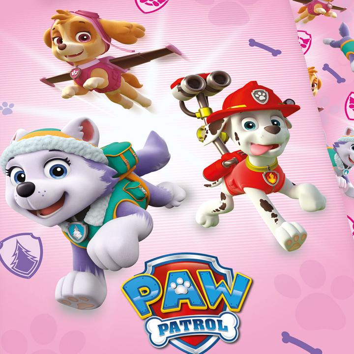 Actual product image Herding Paw Patrol