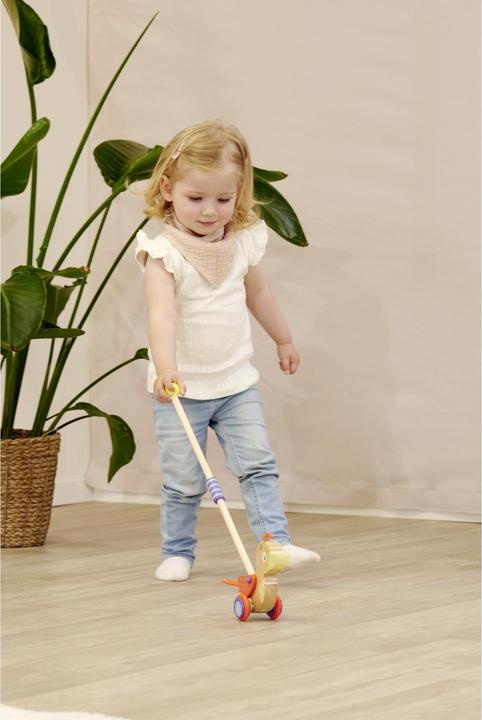 Actual product image Eichhorn EH Duck to push