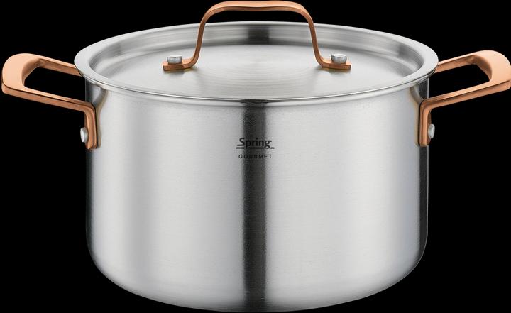 Actual product image Spring Gourmet saucepan rose gold (20 cm, Pot)