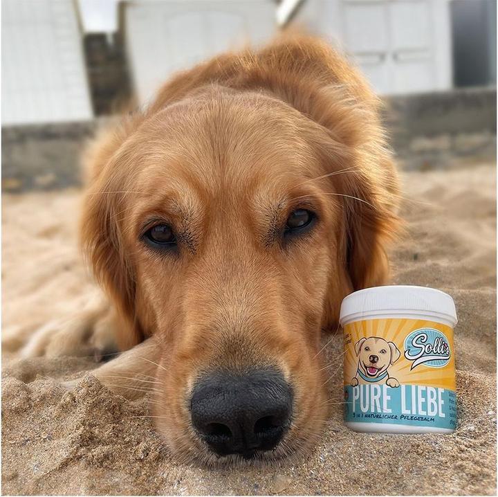 Actual product image Sollis Pure love - 3 in 1 natural care balm (Dog)