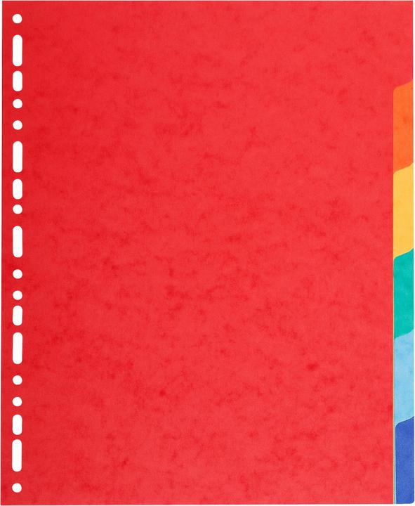 Biella TOP COLOR - Register A4