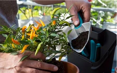 Actual product image Gardena City Gardening Balcony Box
