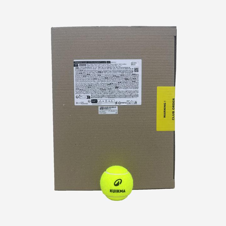 Artengo Box of Pressureless Training Tennis Balls x 60 Training Club