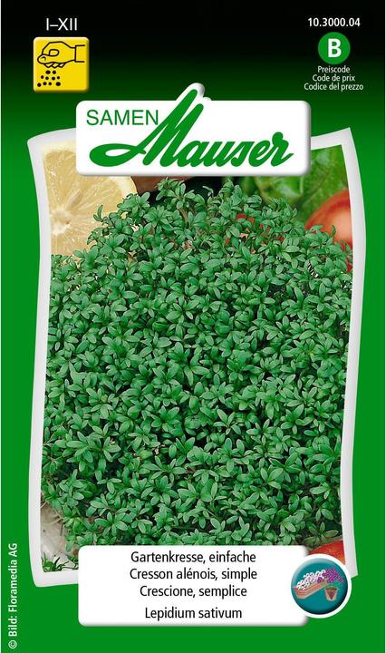 Actual product image Samen Mauser Garden cress, plain (Herb seeds)