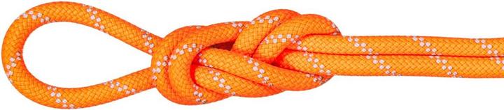 Produktbild Mammut 9.5 Alpine Dry Kletterseil (50 m)