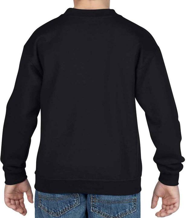 Actual product image Gildan Childrens/Kids Heavy Blend Drop Shoulder Sweatshirt (152, 158)