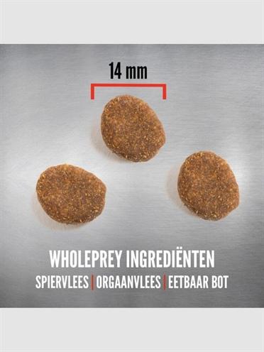 Produktbild Orijen Regional Red Dog (Adult, 1 Stk., 6000 g)