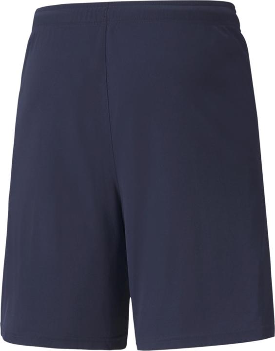 Actual product image Puma teamLIGA Shorts-704924 (60)