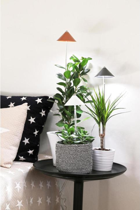 Produktbild Colibri Sunlite (LED, 230 V)