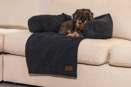Image du produit Designed by Lotte Ribbed (Chien)