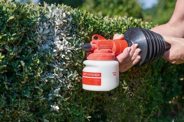 Image du produit Birchmeier Bobby 0,5 (0.50 l)