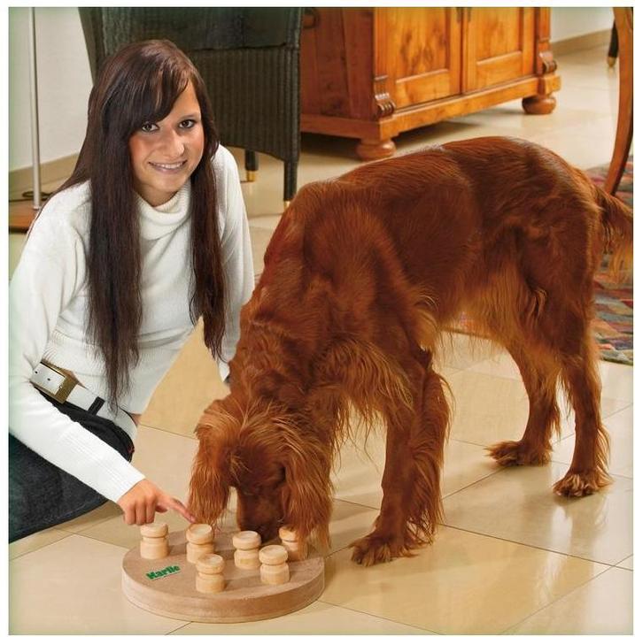 Produktbild Karlie Doggy Brain Train (Intelligenzspielzeug Hund)