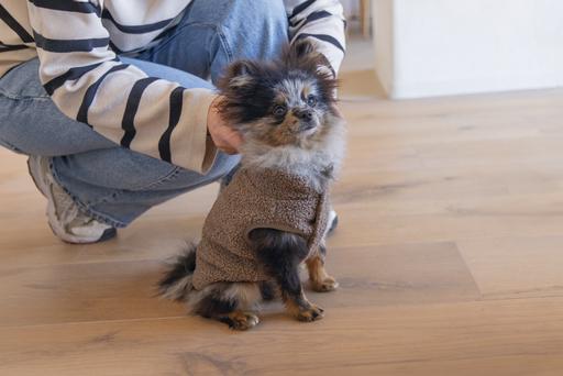 Image du produit Designed by Lotte Pull pour chien Madeleine (S, Pull-over pour chien)