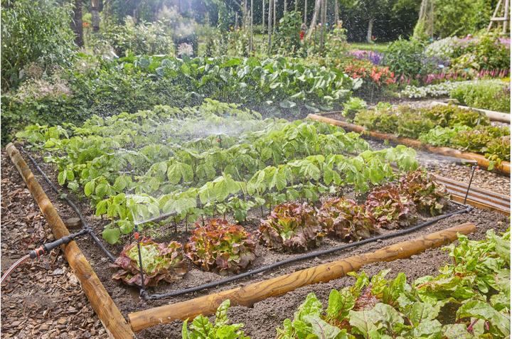Productafbeelding Gardena Micro-Drip-System Set groenten/bloemenbed (Set druppelirrigatie)