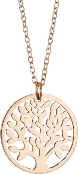 Image du produit Rhomberg collier avec pendentif, arbre de vie (Acier inoxydable)
