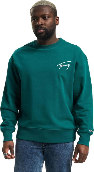 Image du produit Tommy Hilfiger Tommy Jeans Signature Sweater - 97575 (M)