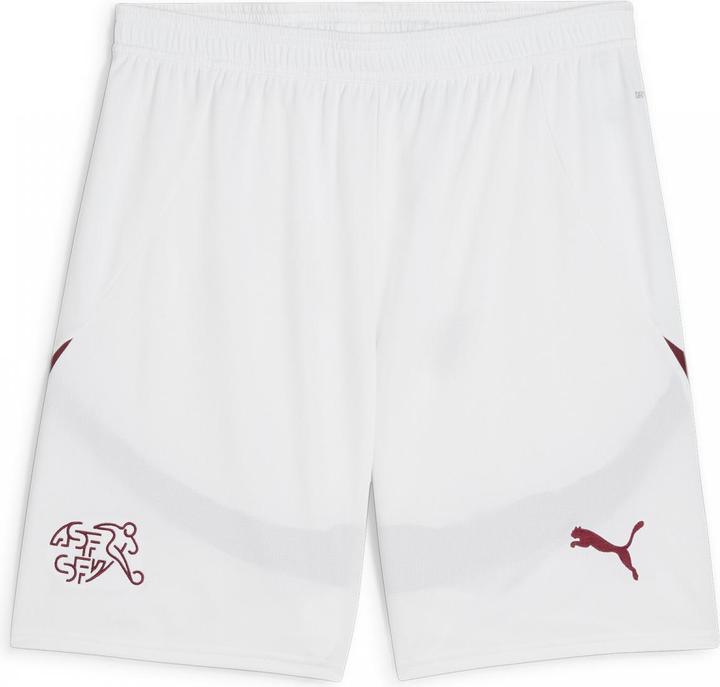 Actual product image Puma SFV Shorts Replica (M)
