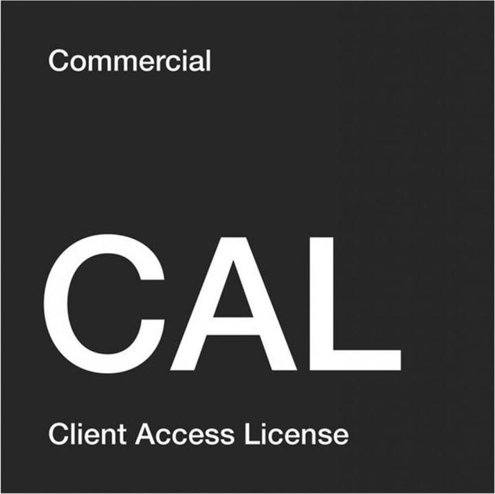 Microsoft Windows Server 2022 User CAL 5 Pack, OEM, Deutsch (5 User, unbegrenzt)