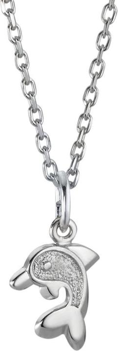 Actual product image Rhomberg Necklace (Silver)