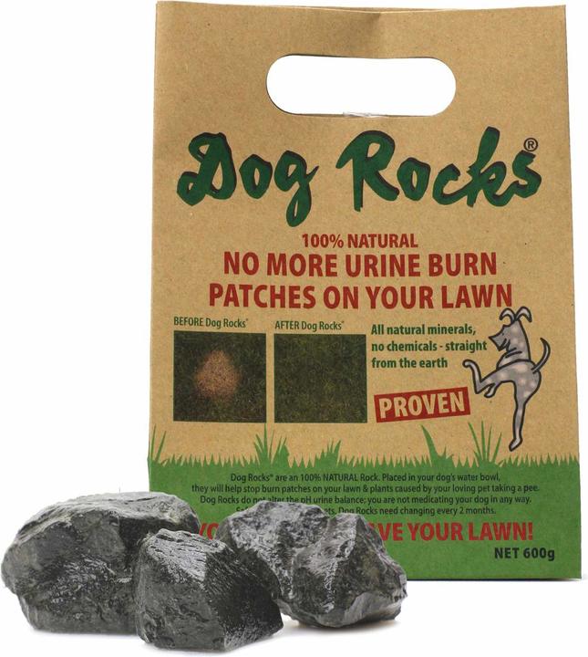 Image du produit Dog Rocks Pansement urinaire (Chien)
