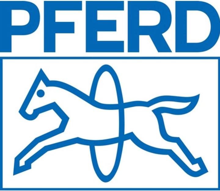Produktbild Pferd Frässtiftesatz Schaft-Ø 6 mm 10-teilig Hartmetall Verzahnung 3 stabile Kunststoffdose