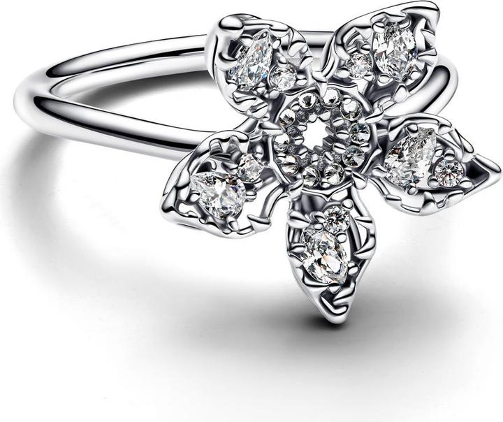 Image du produit Pandora Bague (56, Argent 925)