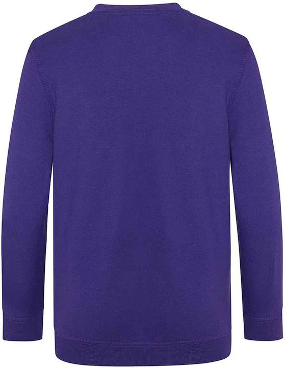 Actual product image Awdis Childrens/Kids Academy V Neck Sweatshirt (128)