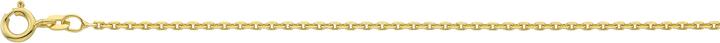 Actual product image Bijou Classic Collier Anker geschliffen 42 cm (Gold)